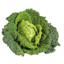 Wirsingkohl KL1 7,5 kg DE EP