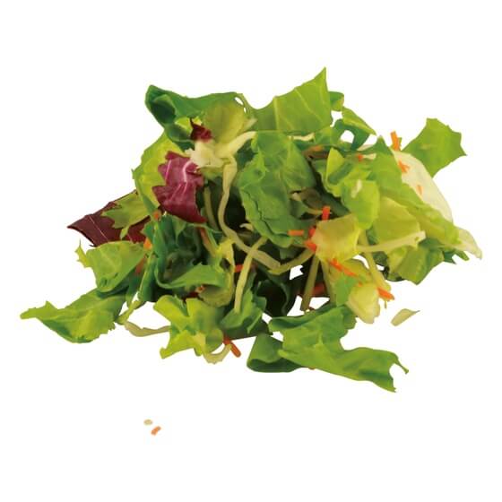 Rheinland Endivien Möhren Weißkohl Radicchio 1kg Funken