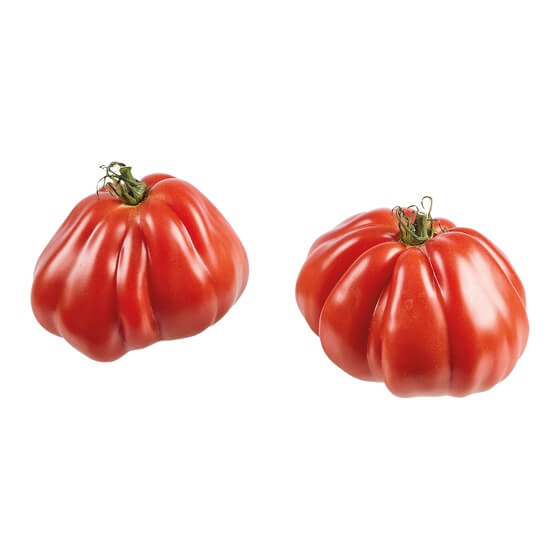 Tomaten DE KL 1  Coeur de Boeuf / Ochsenherztomaten
