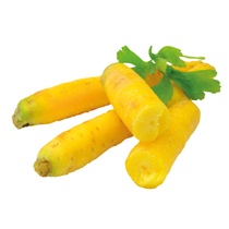 Möhren gelb 5kg NL