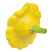 Mini-Patisson ZA ca.200g/Schale gelb oder grün