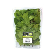 Minze frisch 150g/Schale