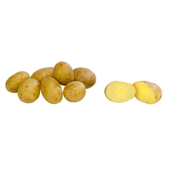 BIO Kartoffel FESTKOCHEND DE  1,5kg/Btl