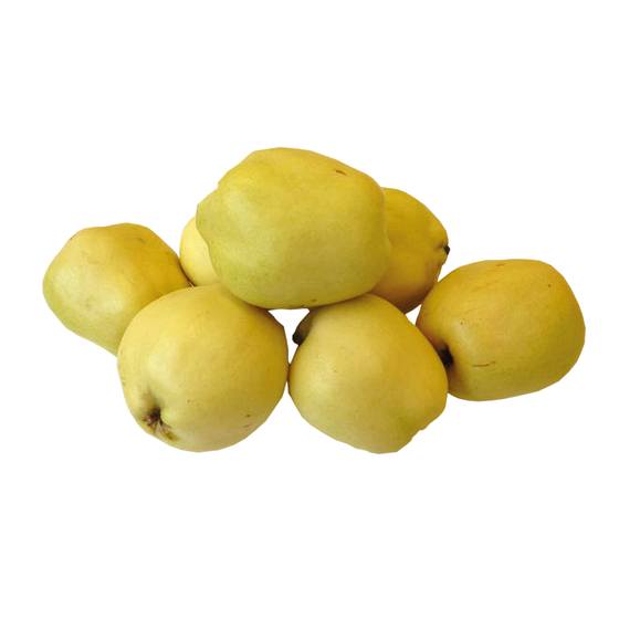 Quitten ES