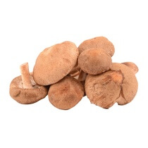 Shi Take Pilze DE 1,5 KG