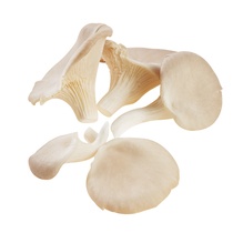 Austernpilze Kappen 1,5 KG PL