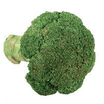 Broccoli 400g ES EP