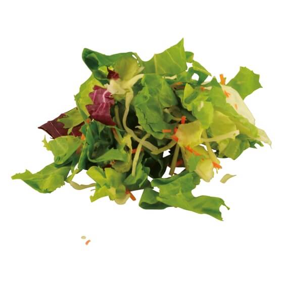 Rheinland Endivie Möhre Weißkohl Radicchio 2,5kg Funken