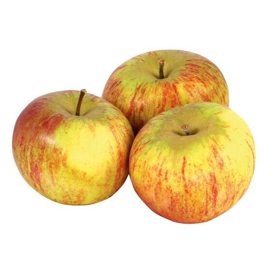 Äpfel Cox 100er NZ KL1