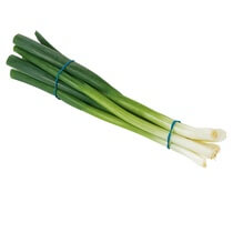 Lauchzwiebeln Bund DE EP