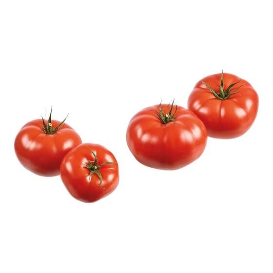 Tomaten Fleischtomaten Münsterland DE KL1 7kg EP