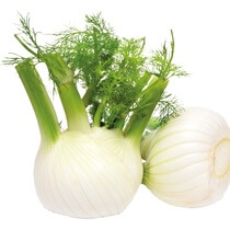 Fenchel KL1 lose 3,0kg EP DE