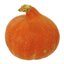 Hokkaido Kürbis DE EP