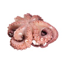 Pulpo(Oktopus) ganz 2-3kg