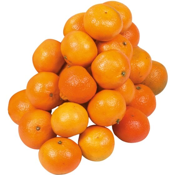 Mandarine Nadorcott ZA KL1