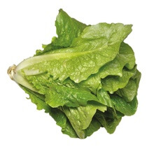 Römersalat / Romanasalat ES Kl1