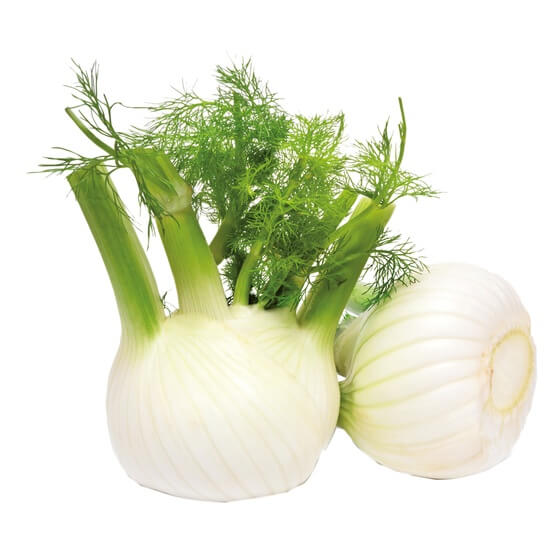 Fenchel NL KL1 3kg