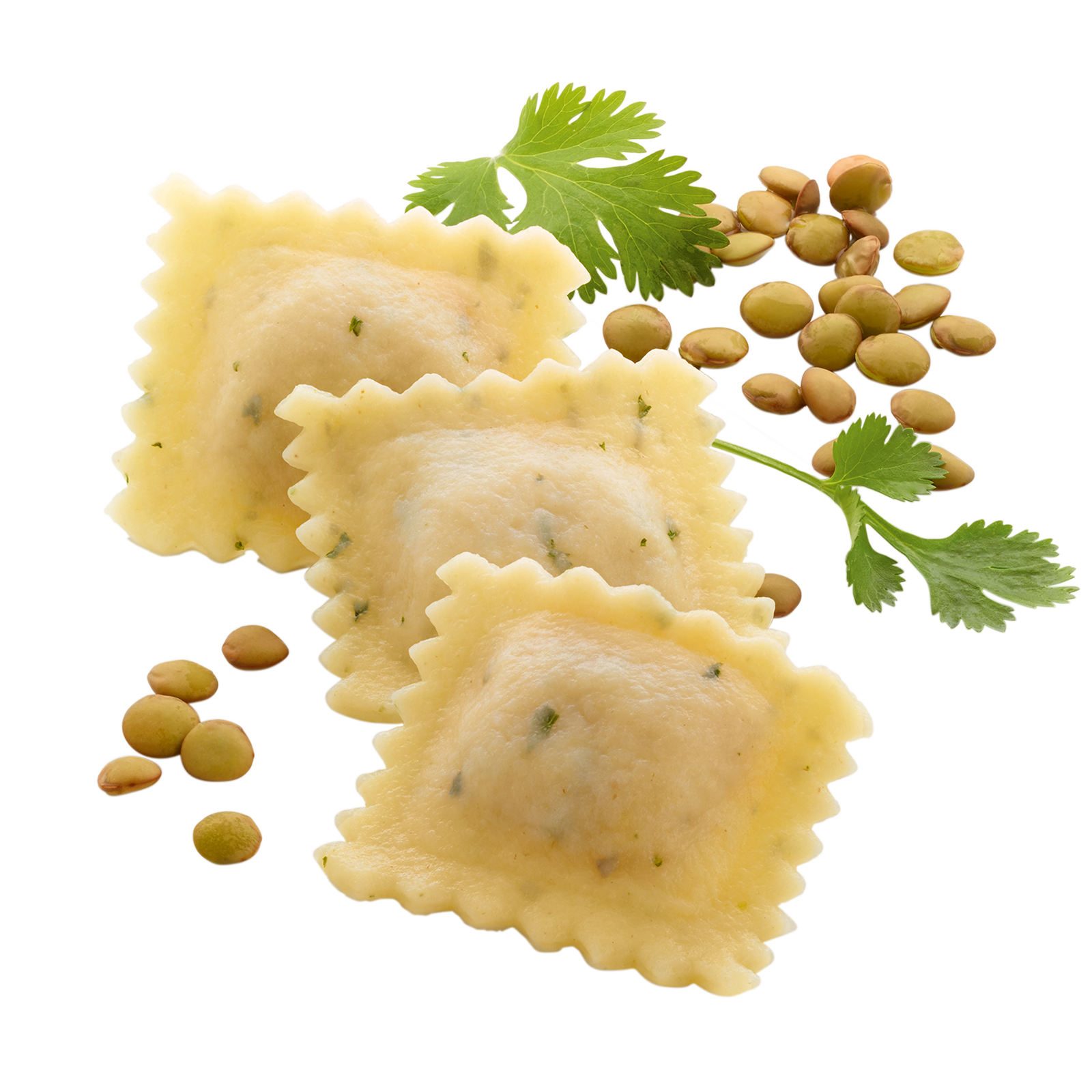 Ravioli mit Gemüse vegan TK 2Kg Dollon