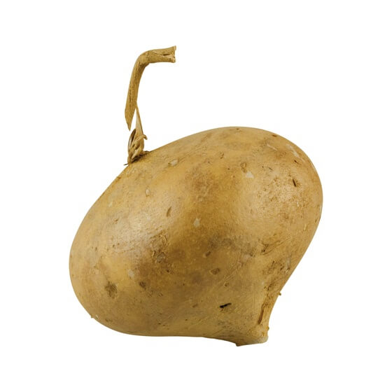 Cherimoya ES  Rahmapfel
