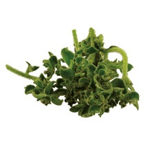 Eistropfensalat lose FR KL1 1kg