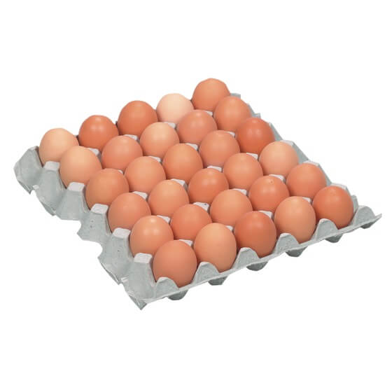 Eier Althues Bodenhaltung braun Gr.M/L 180er