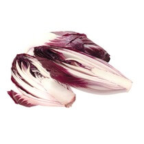 Chicoree rot NL KL1 3kg