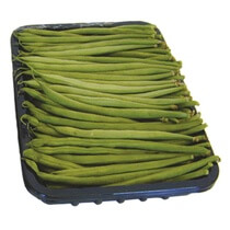 Böhnchen fein MA ca200g/Sc KL1