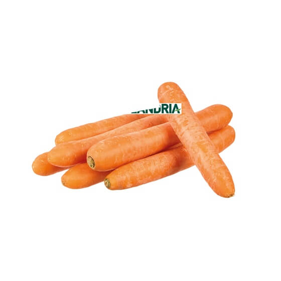 Möhren BE KL2 5kg-Sack