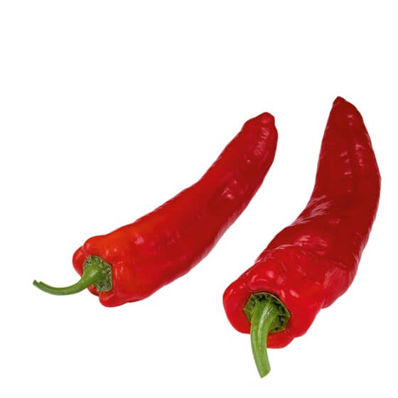 Paprika spitz rot KL1 4kg NL KL1