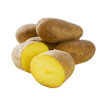 Kartoffeln Festkochend EP DE