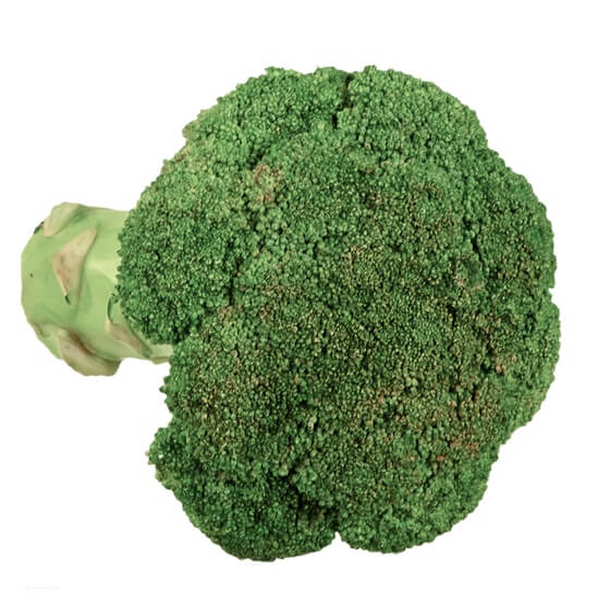 Broccoli 400g ES EP