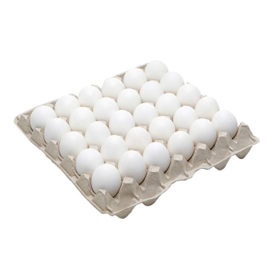 Eier gekocht und lackiert Bodenhaltung 180Stück Eipro