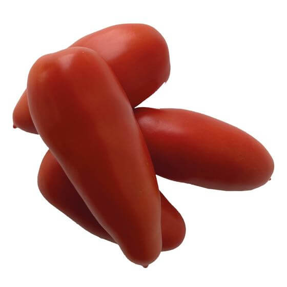 Tomaten San Marzano ES KL1 lose EP