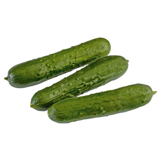 Zucchini KL1 1 Stück