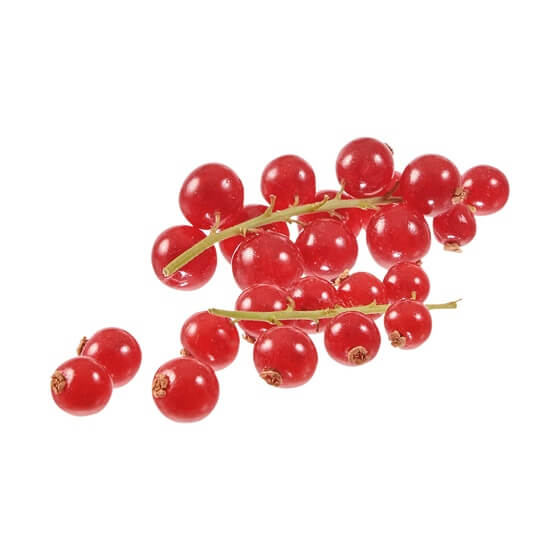 Johannisbeeren Rot 400g EP DE KL1