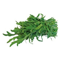 Rucola Bunde IT 20 Bunde á 50g Box mit 1 kg Inhalt