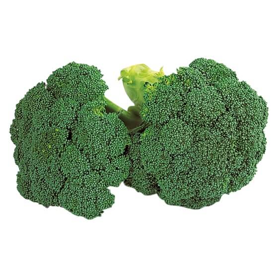 Broccoli ES 400g