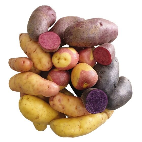Kartoffel Miss Blush lose festkochend FR 5kg