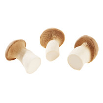 Kräuterseitlinge DE 1kg lose