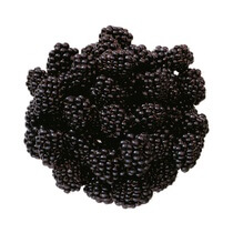 Brombeeren Bio ES KL2 125g
