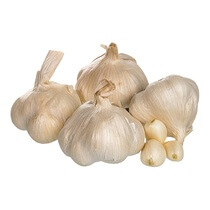 Knoblauch frisch ES KL1 ca 100g EP