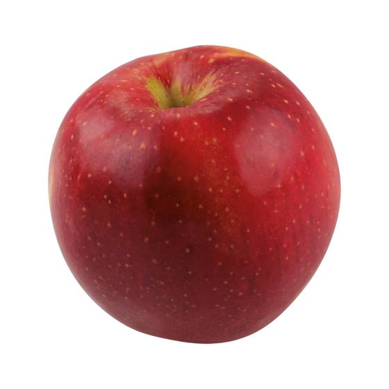 Äpfel Wellant DE KL1 5Kg Beutel Obstverkauf Kallen