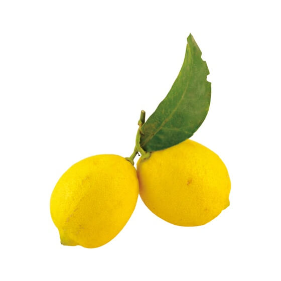 Zitronen mit Blatt unbehandelt IT KL1 10kg/Kiste