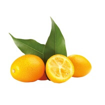 Kumquats 2kg ZA