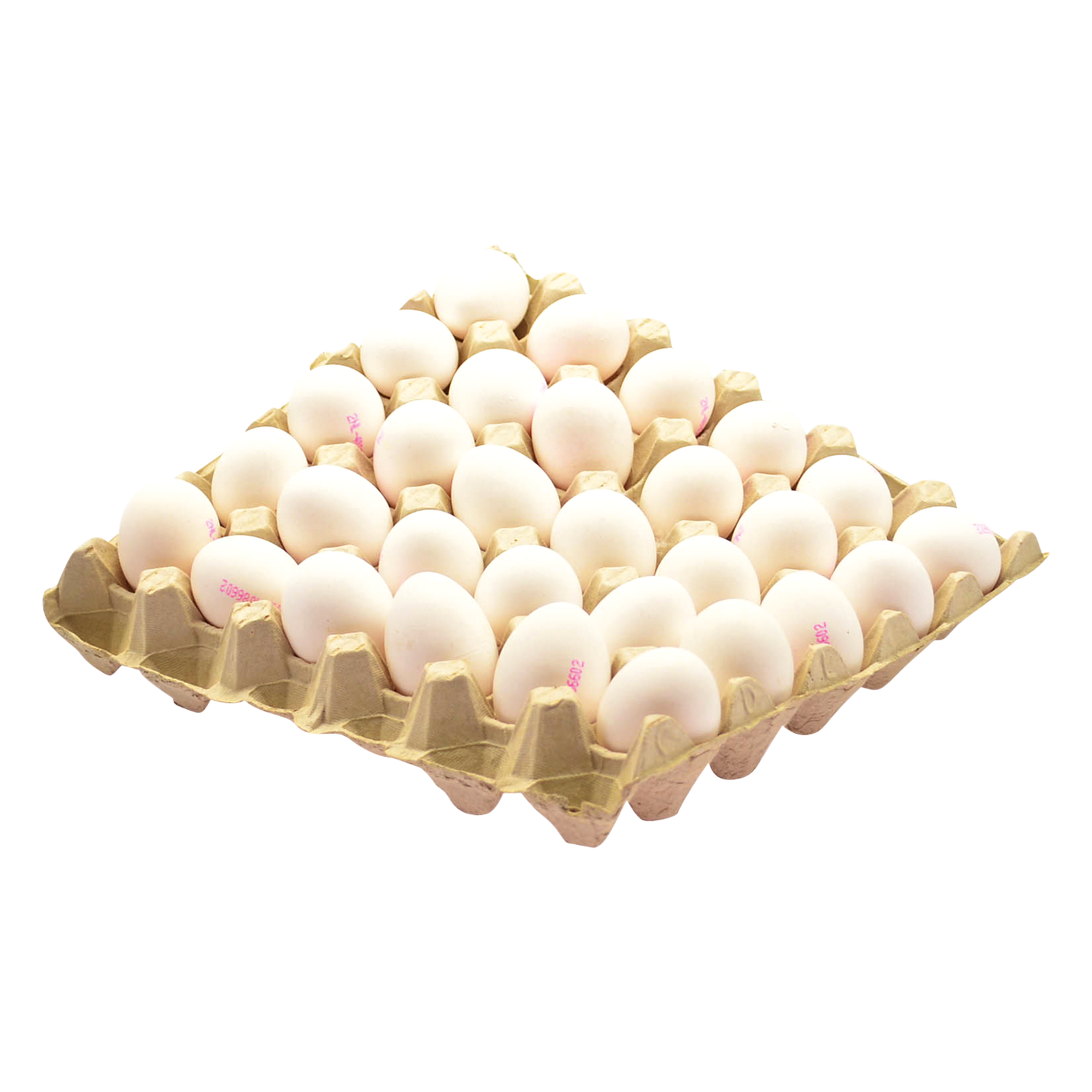 Eier Columbus Frischei Bodenhaltung weiß lose Gr.S 180er